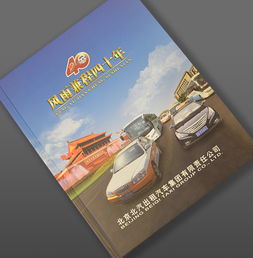 东森博悦 一站式品牌视觉解决方案与整合服务专家